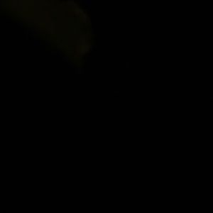 Meet your Posher, Jaylen